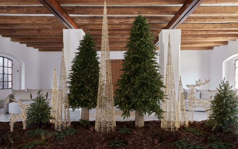 Brazi de Crăciun premium Juliet Rose: alegerea perfectă pentru sărbători ideale