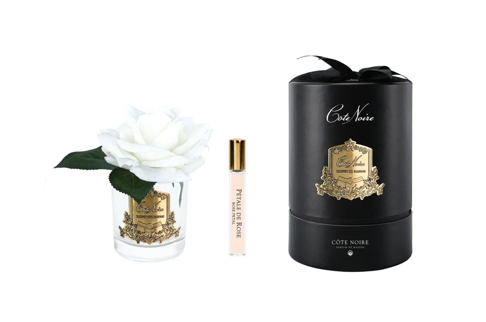 French rose in transparent vase