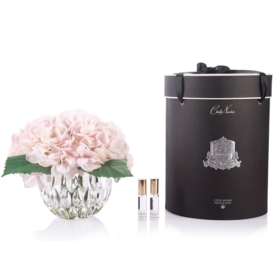 Perfumed bouquet of hydrangeas in transparent vase Blush