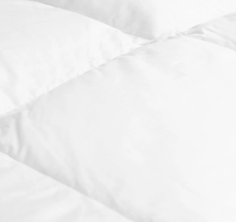 Пуховое одеяло G800 межсезонье 250X200