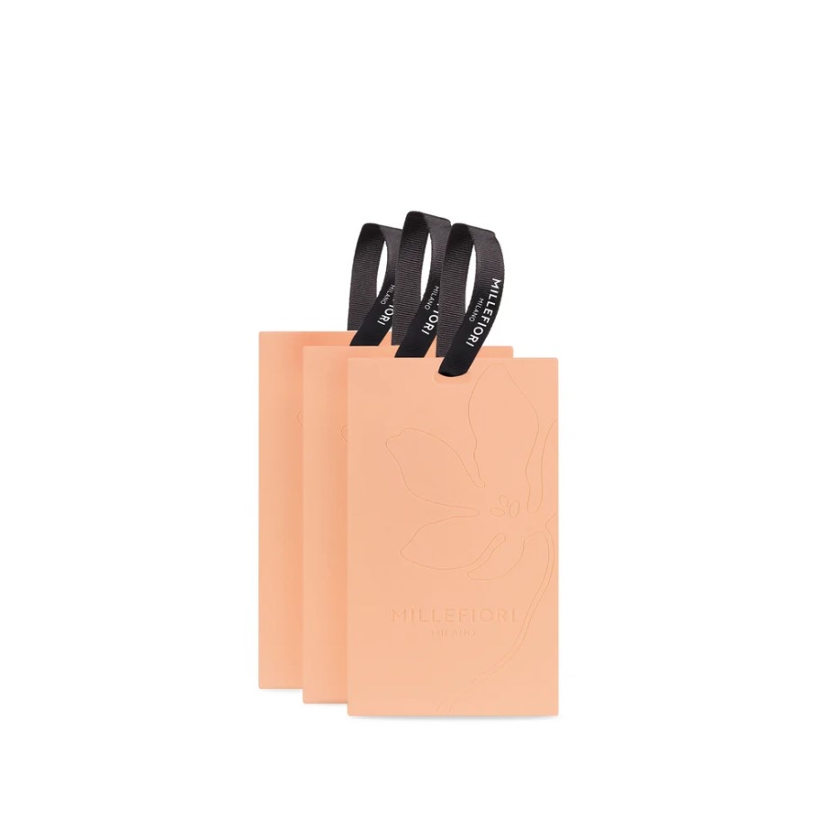 Set de 3 plicuri parfumate pentru garderobă Gemme d'Agrumi