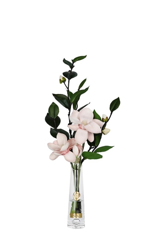 Парфюмированная магнолия в прозрачной вазе Summer Magnolias pink