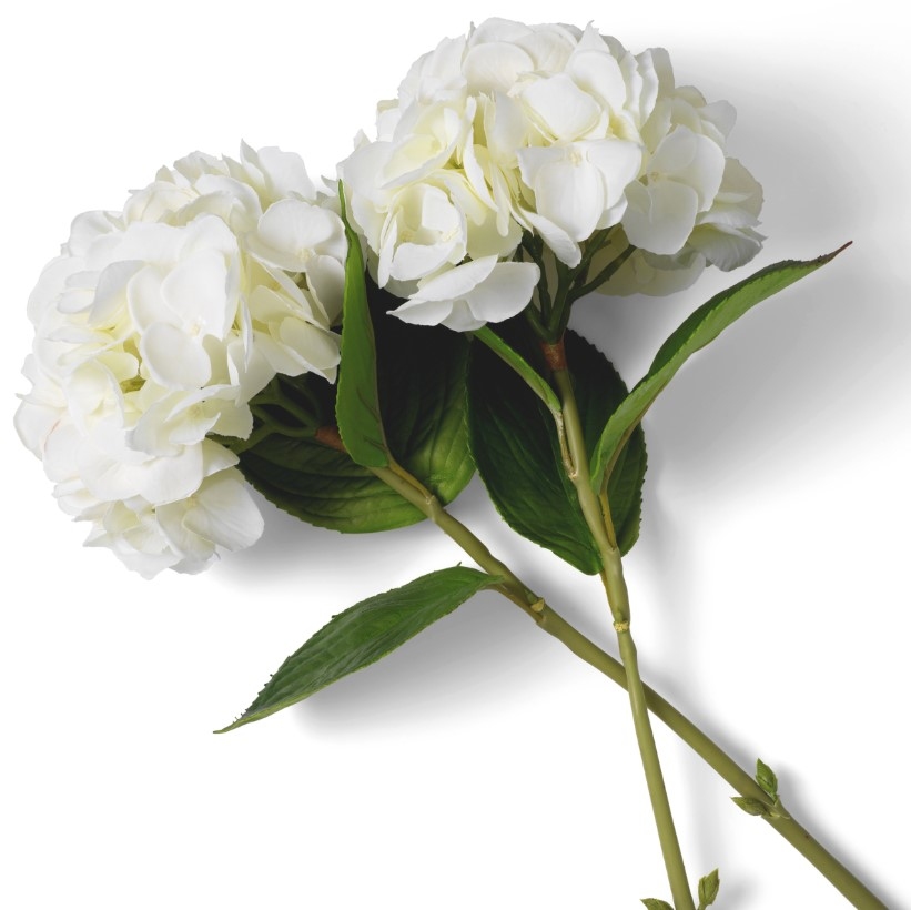 Hydrangeas Real-Touch