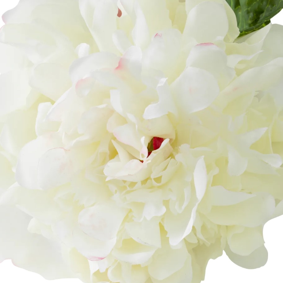 Bujor Real-Touch White