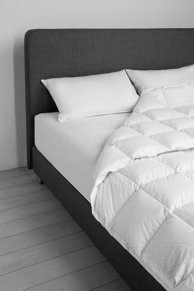 Neostep 400 Mid-Season quilt 250X200