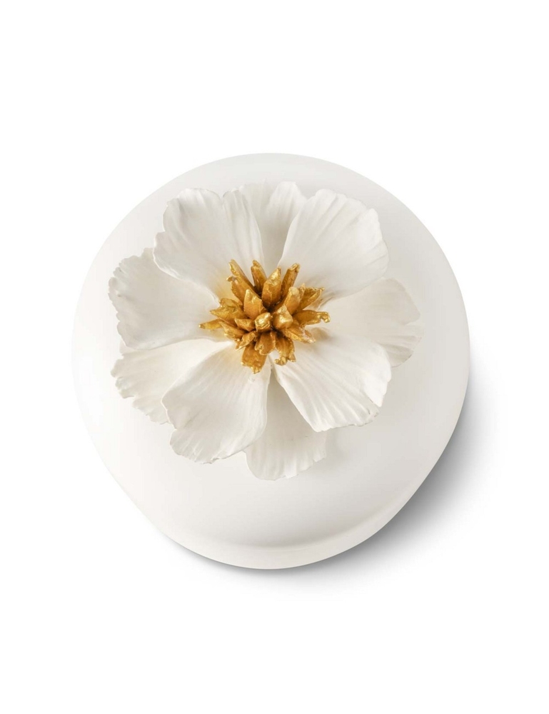 Cutiuță Peony White