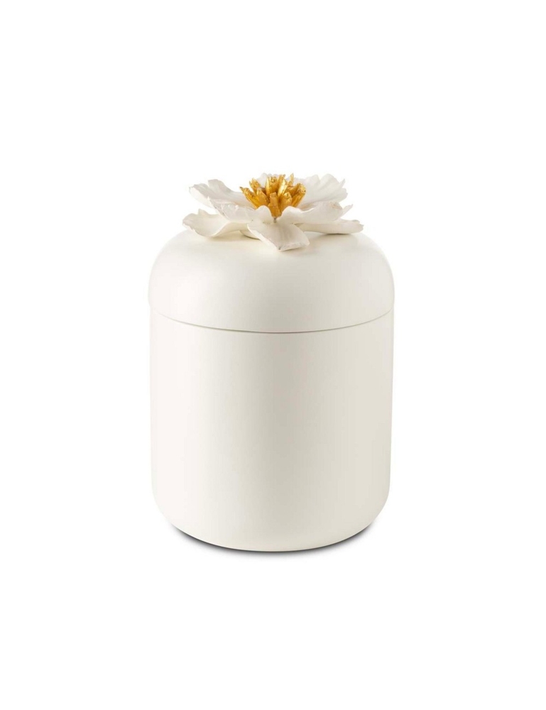 Cutiuță Peony White