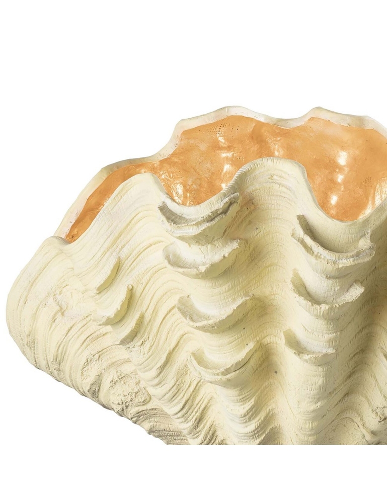 Lampă de masă Tridacna