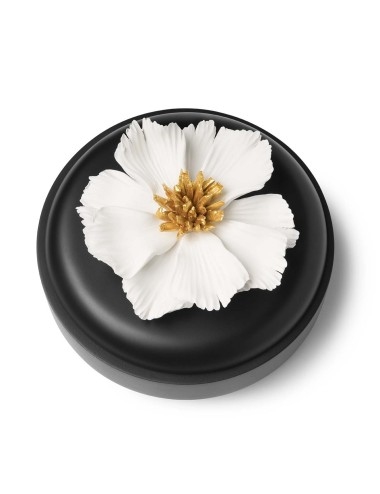 Cutiuță Peony Black White