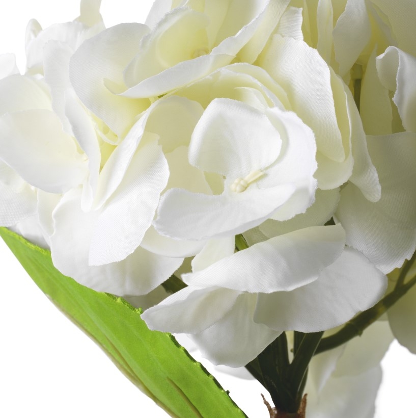 Hydrangeas Real-Touch