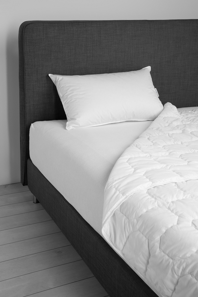 Down pillow President 50X80