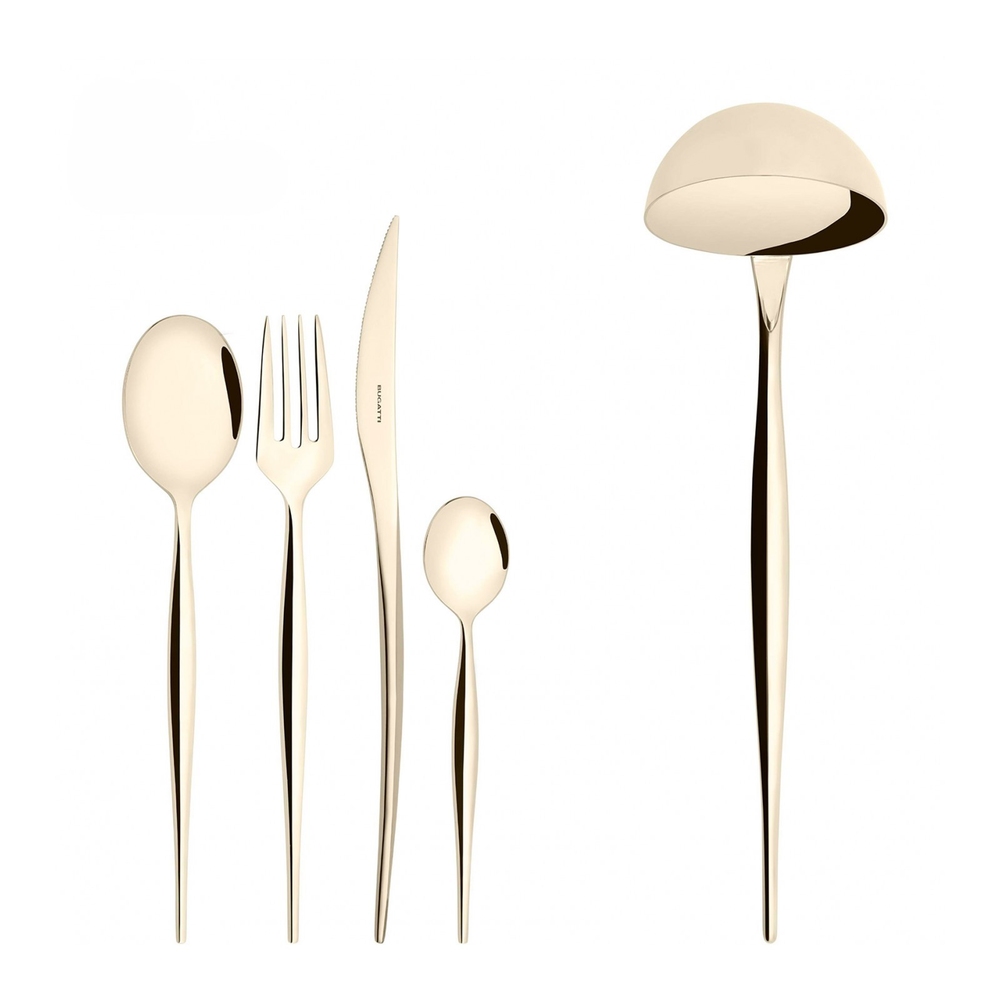 Natura Champagne Set of 49 cutlery in wooden box