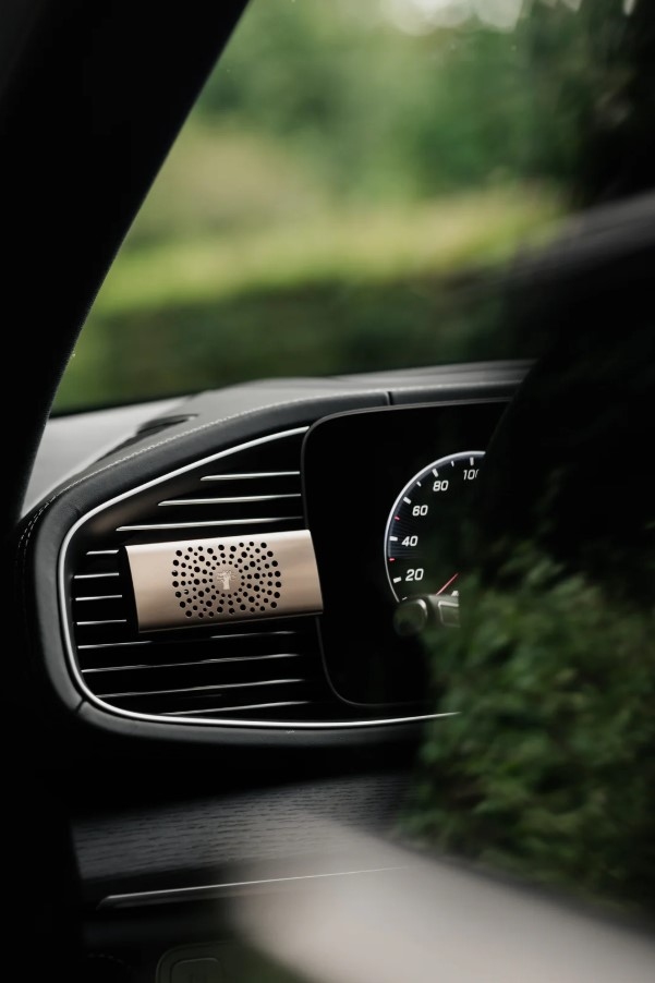 Difuzor pentru automobil Pearls White