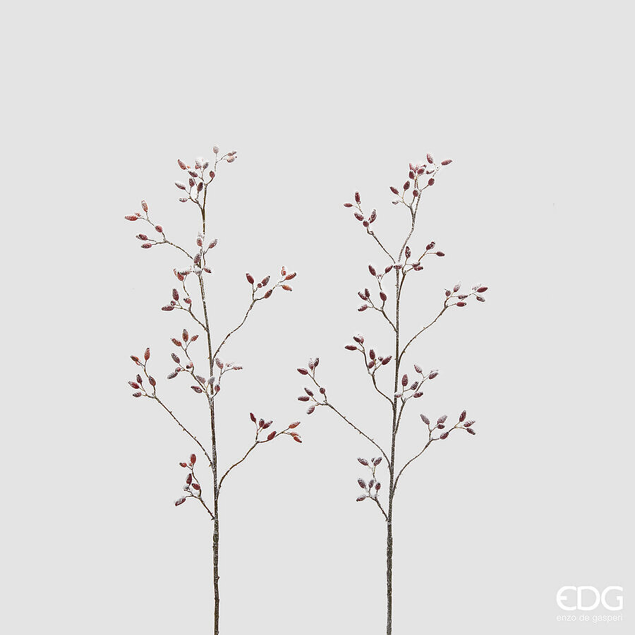 Ramură decorativă Rosa Canina H115