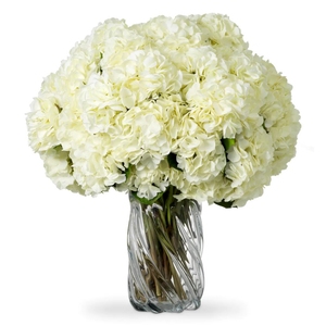 Hydrangeas Real-Touch