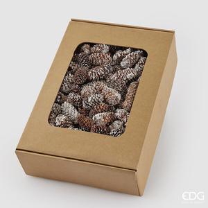 Set de conuri decorative Pigna Picea
