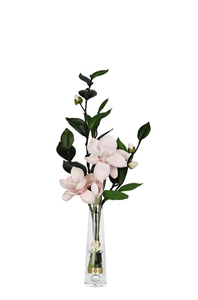 Парфюмированная магнолия в прозрачной вазе Summer Magnolias pink
