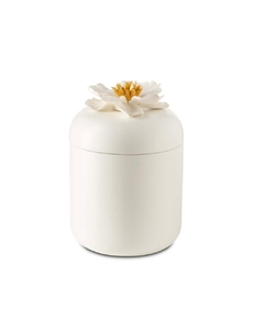 Cutiuță Peony White