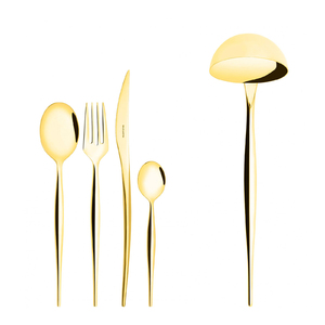 Natura Gold Set de 49 tacâmuri în cutie de lemn