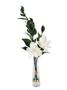 Парфюмированная магнолия в прозрачной вазе Summer Magnolias