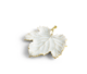 Winter Leaves Grape Leaf Snack Plate