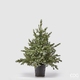 Artificial Christmas tree Argentato H90